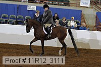 11r12_3111 proof