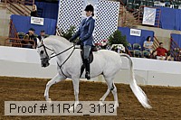 11r12_3113 proof