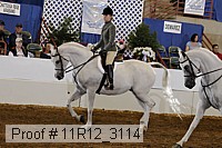 11r12_3114 proof