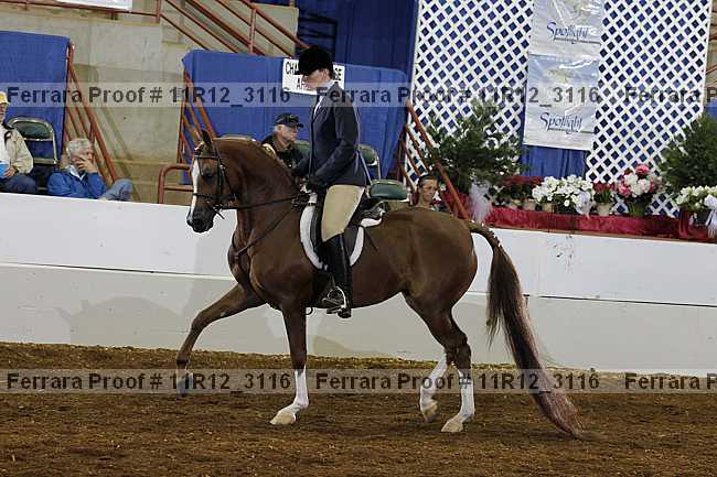 Proof 11r12_3116