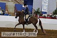 11r12_3116 proof
