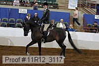 11r12_3117 proof