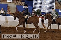 11r12_3118 proof