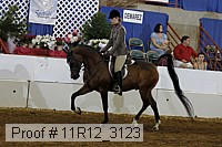 11r12_3123 proof