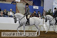 11r12_3127 proof