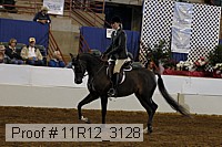 11r12_3128 proof