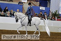 11r12_3129 proof