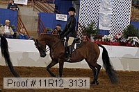11r12_3131 proof