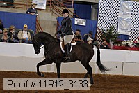 11r12_3133 proof