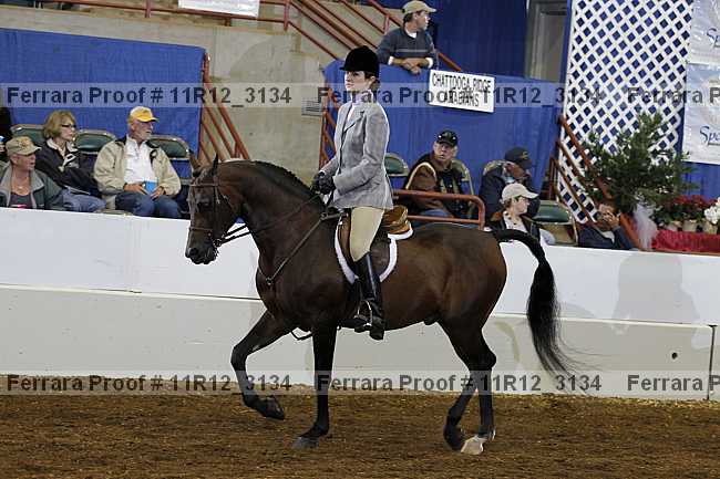 Proof 11r12_3134