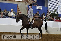 11r12_3134 proof