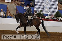 11r12_3135 proof