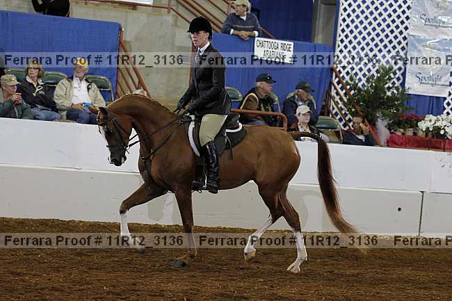 Proof 11r12_3136