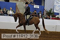 11r12_3136 proof