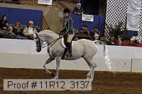 11r12_3137 proof