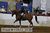 11r12_3138 proof