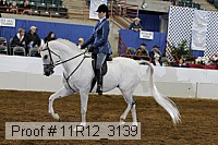 11r12_3139 proof