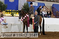 11r12_3141 proof