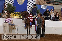 11r12_3149 proof
