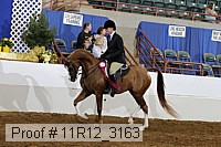 11r12_3163 proof