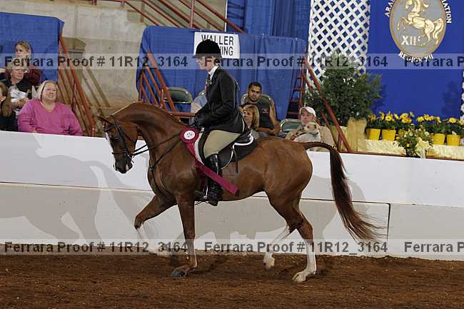 Proof 11r12_3164