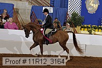 11r12_3164 proof