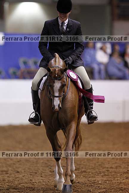 Proof 11r12_3166