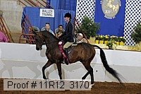 11r12_3170 proof