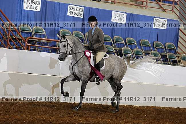 Proof 11r12_3171