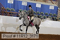 11r12_3171 proof