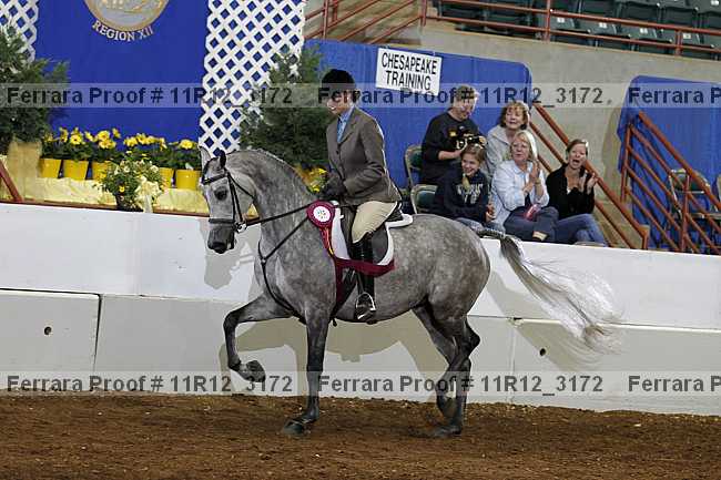 Proof 11r12_3172