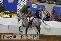 11r12_3172 proof