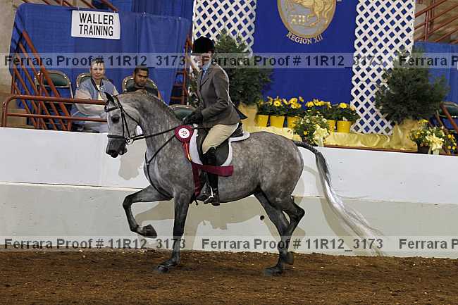 Proof 11r12_3173