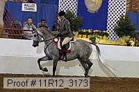 11r12_3173 proof