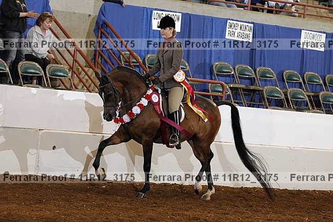 Proof 11r12_3175