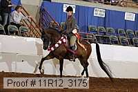 11r12_3175 proof
