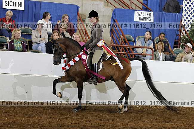 Proof 11r12_3176
