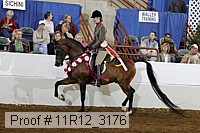 11r12_3176 proof