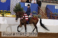11r12_3179 proof