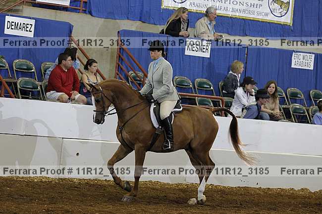 Proof 11r12_3185