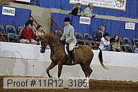 11r12_3185 proof