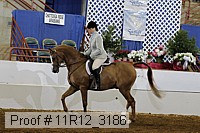 11r12_3186 proof