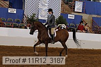 11r12_3187 proof