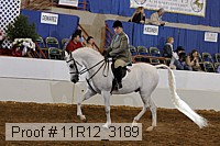11r12_3189 proof