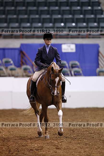Proof 11r12_3190