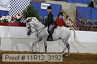 11r12_3192 proof