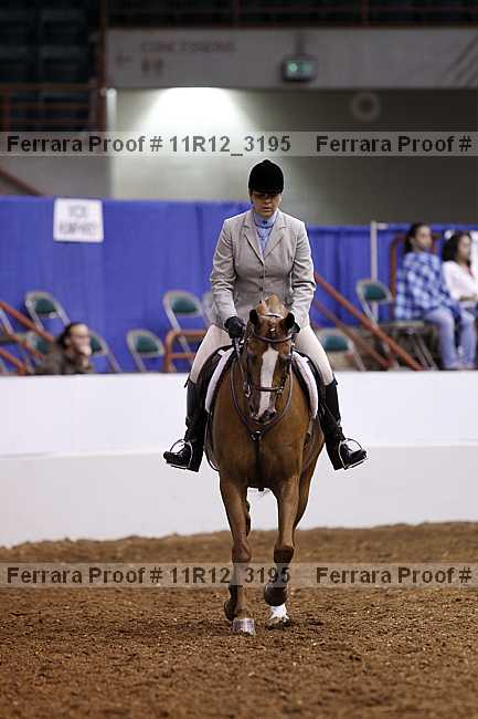 Proof 11r12_3195