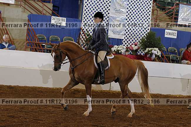 Proof 11r12_3196
