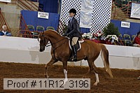 11r12_3196 proof