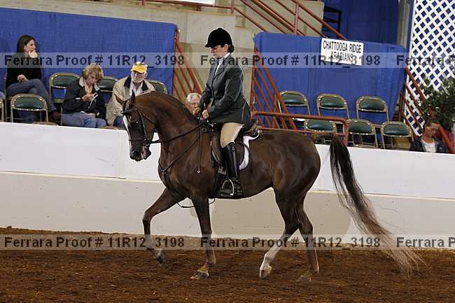 Proof 11r12_3198